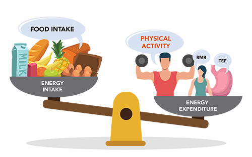 Energy balance diet